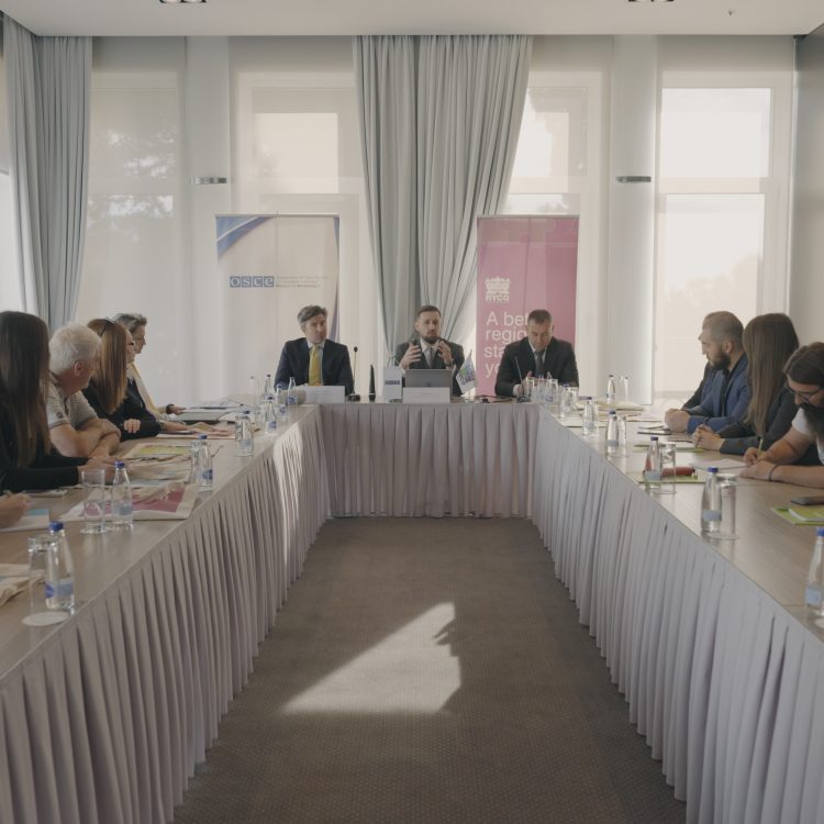 Capacity building training for CSO representatives within the ...